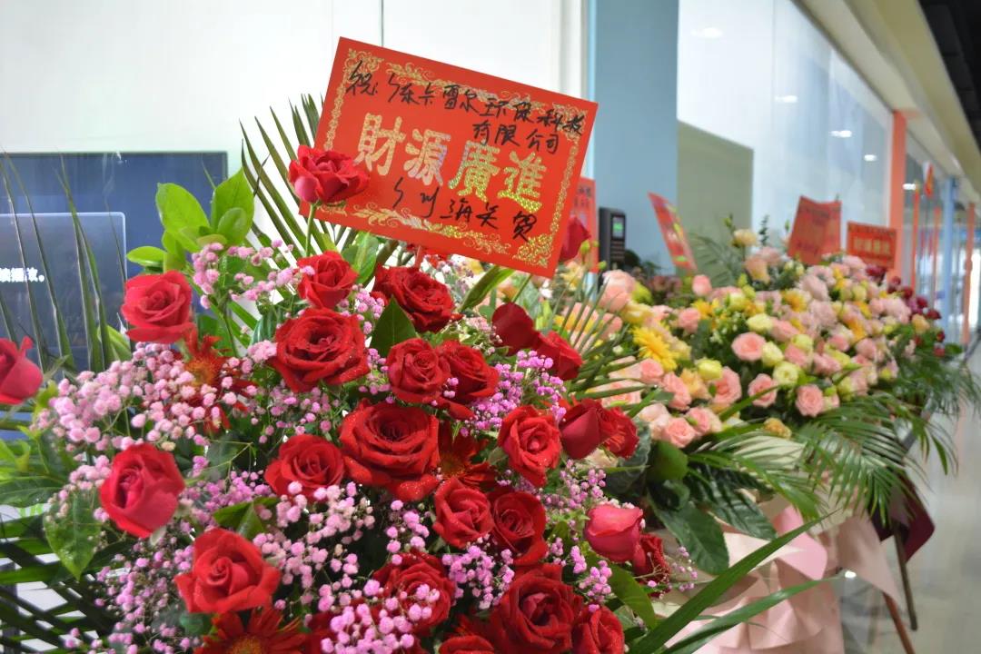 跑出世界速度，環(huán)保紙模先行者卡雷爾落地南沙
